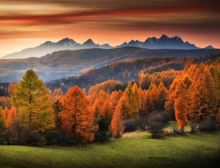 Tatry Panorama Apartmany Tatragolf Tatranská Lomnica Екстериор снимка